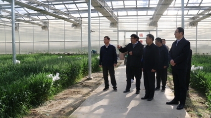 淮北市农业农村局局长何斌一行来院考察调研生物育种工作