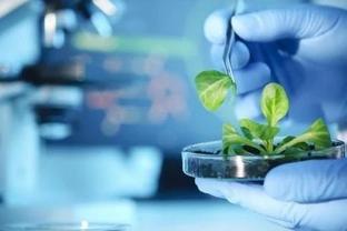 “中国智造”赋能生物育种 让样本存储更安全