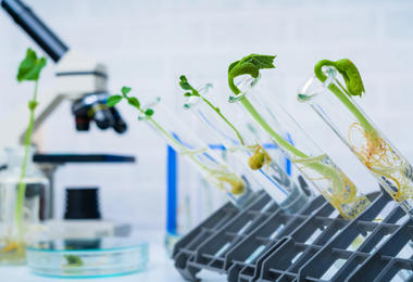 科技农场与生物育种 未来农业的双引擎