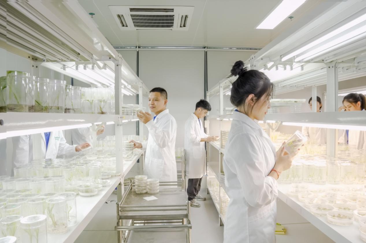 海南三家农业科技企业获评农业农村部企业重点实验室 生物育种助力热带农业科技创新与产业高质量发展