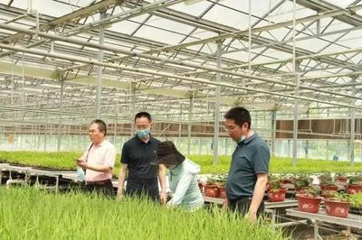 新一代载人飞船试验船返回舱开舱 搭载74份实险生物材料交付，助力生物育种发展