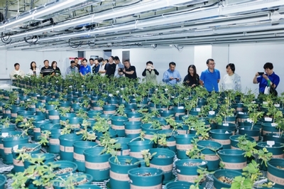 生物育种赋能 第二届宿州大豆产业创新高质量发展大会侧记