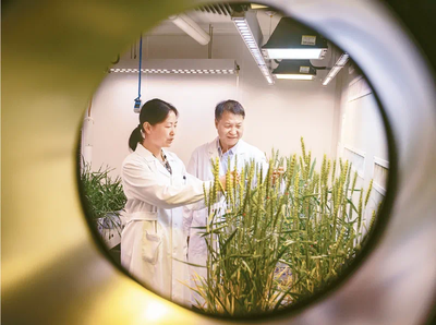 坚定不移推动高质量发展 凝心聚力新时代追赶超越 生物育种