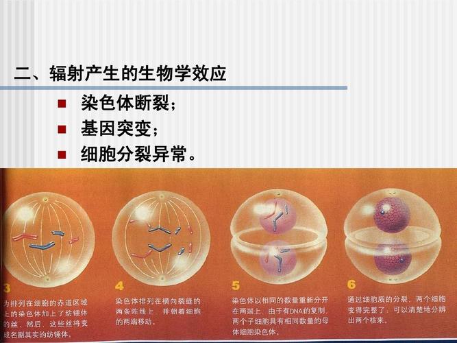 方差分析 杂种优势及其利用 园艺植物生物技术 品种审定 常规育种 种