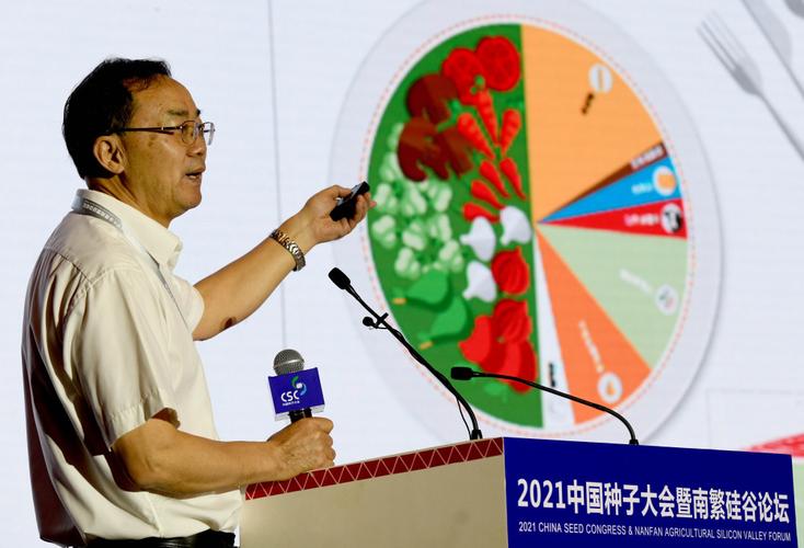 种业创新怎么搞统筹兼顾常规育种与生物育种